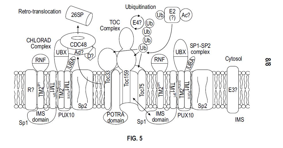 Life Sciences — Membrane Protein Complex